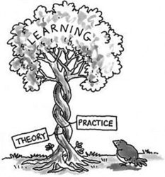 Теория и практика в обучении